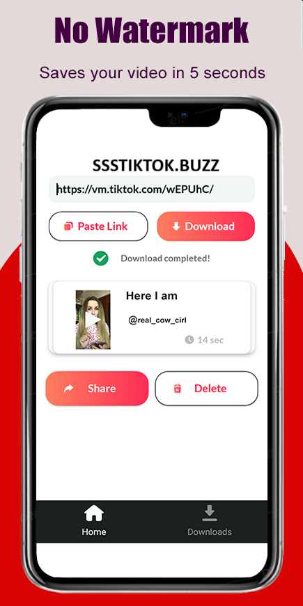 tiktok-video-downloader-no-watermark-ssstiktok